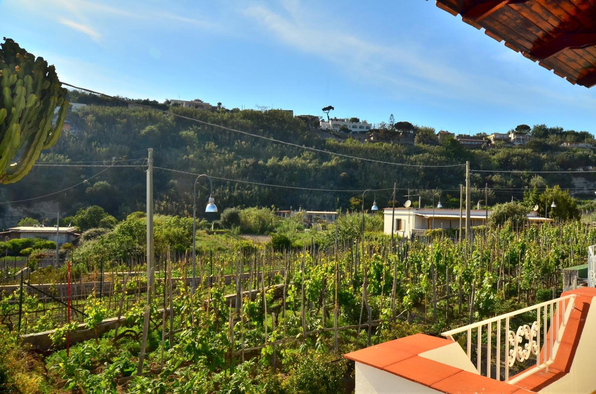 Hotel Villa Bernardina Forio di Ischia Kültér fotó